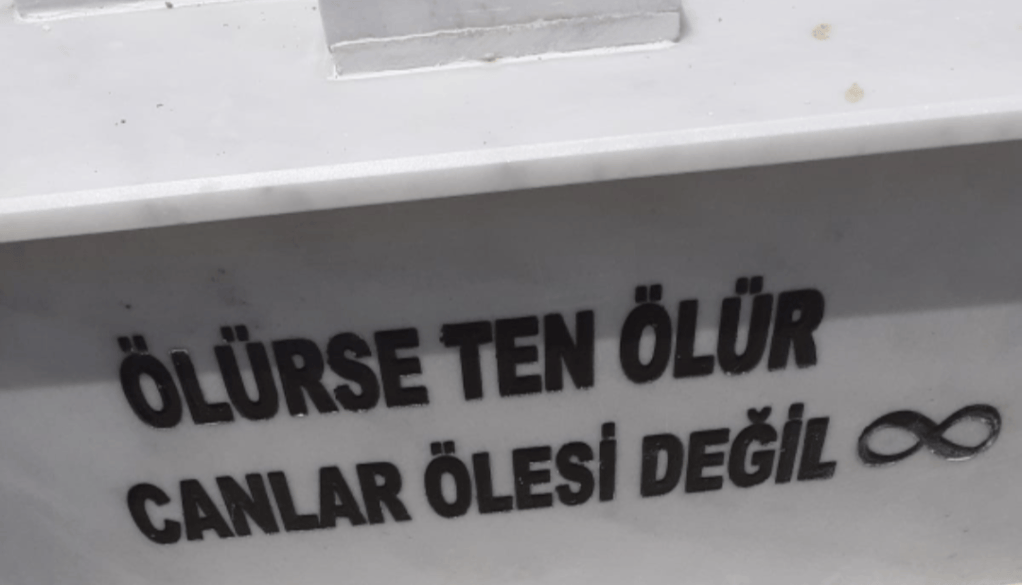 VİDE SUPRA / Daha Yukarısını&nbsp;Gör