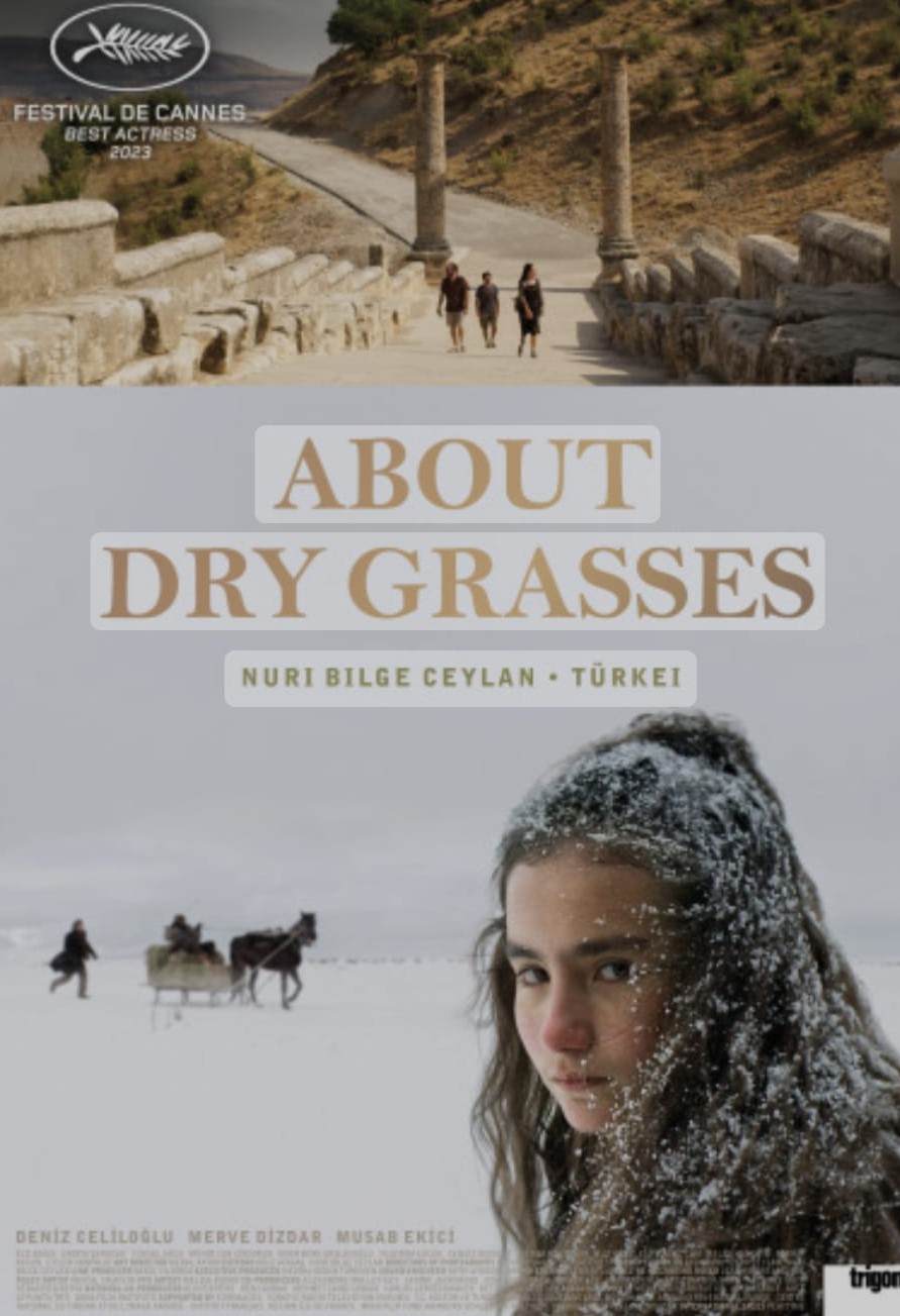 Kuru Otlar Üstüne Adlı Filminin düşündürdükleri; Ceylan bize ters köşe mi&nbsp;yaptı?