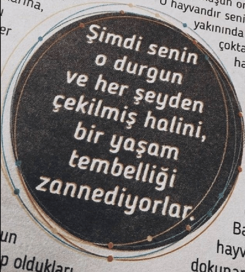 Özcümle